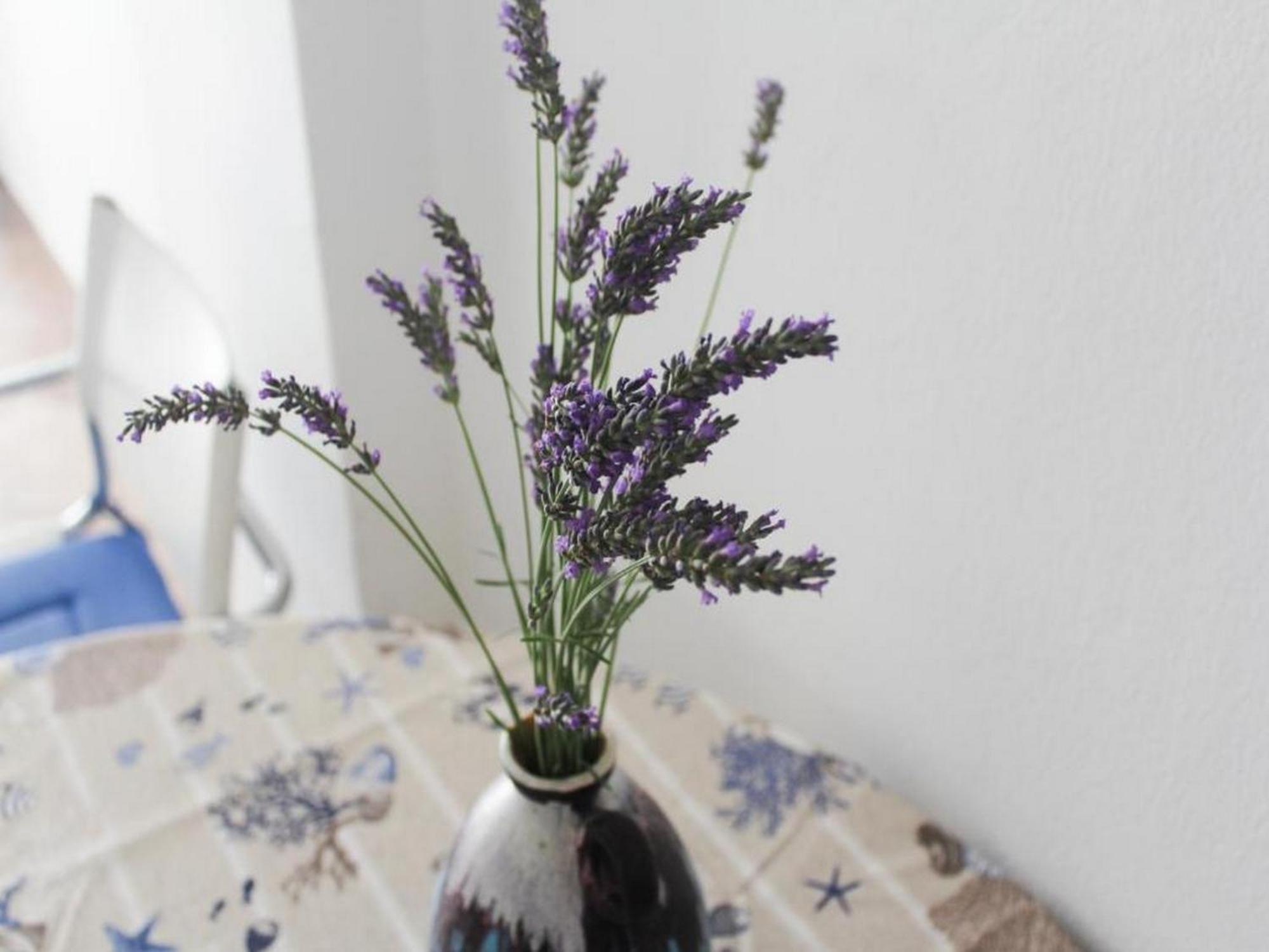 Apartmani Lucia Biograd Biograd Na Moru Chambre photo